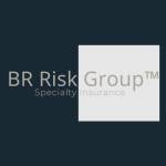 BR Risk Group
